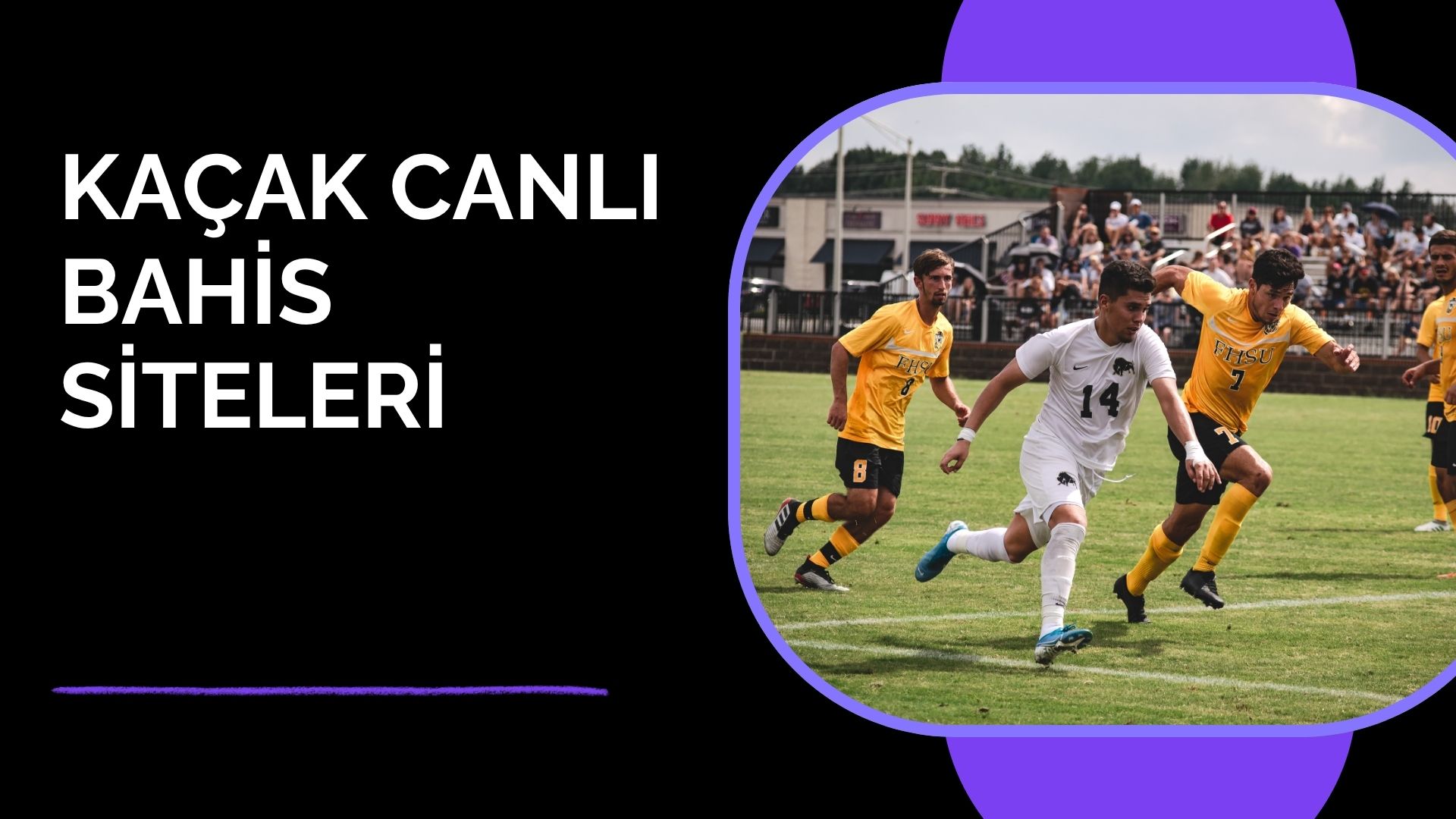 Kaçak Canlı Bahis Siteleri